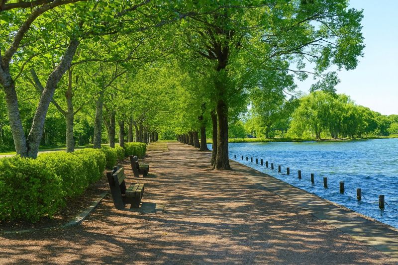 Hero for Home Services Options